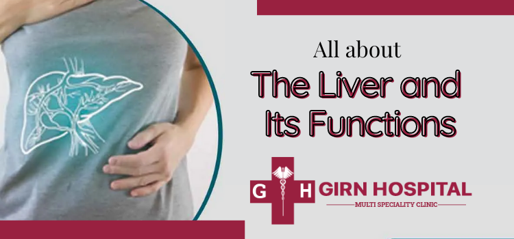 A 5-minute read blog: The anatomy and the functioning of the liver